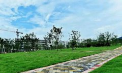 浙江中医药大学滨江学院2020招生录取分数线