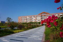 上海思博职业技术学院护理学院2019招生简章及计划