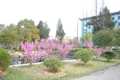 上饶师范学院2019招生录取分数线