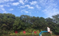 黄埔卫生职业技术学校2019招生简章及计划