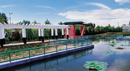 大庆师范学院