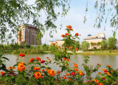 福建师范大学招生老师QQ及电话