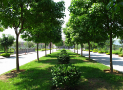 福建师范大学地址在哪里