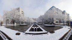 首都医科大学招生老师QQ及电话