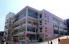 青岛大学师范学院2020招生录取分数线