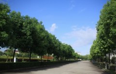 大同市卫生学校2019年山东卫校排名解读