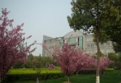 日照卫生学校2019年山东卫校排名解读