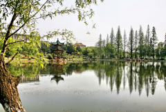 湖南农业大学教育学院招生老师QQ及电话