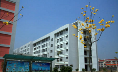 漳州城市职业学院招生老师QQ及电话