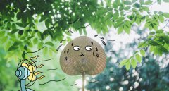 山东省哪些学校有学前教育专业