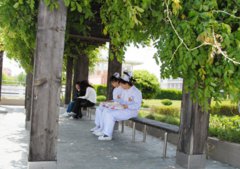 上海思博职业技术学院护理学院招生老师QQ及电话