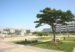 日照职业技术学院人文与旅游学院2020招生简章及计划
