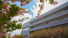 宁波城市职业技术学院2019年浙江汽修学校排名解读