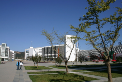 日照职业技术学院人文与旅游学院2020有哪些专业及什么专业好