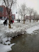 青海交通职业技术学院2019招生简章及计划