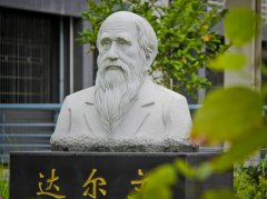 宁德师范学院2019招生简章及计划