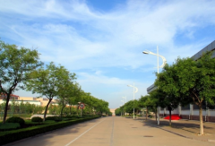 山东体育学院2020有哪些专业及什么专业好