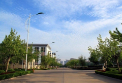 山东体育学院2020报名时间及报名方式