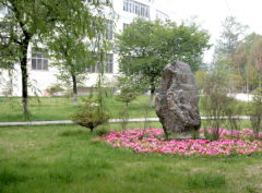 青海大学继续教育学院2019有哪些专业及什么专业好