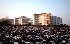 宁波大学医学院2019有哪些专业及什么专业好