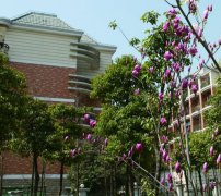上海东海职业技术学院2019报名时间及报名方式