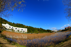 福州大学地址在哪里