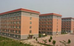 济南大学教育与心理科学学院2020招生录取分数线