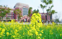 上海震旦职业学院2019招生办电话及联系方式