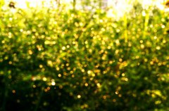 杭州师范大学医学院2019招生录取分数线