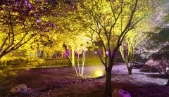 石家庄职业技术学院2019招生简章及计划