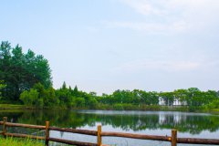 杭州师范大学医学院地址在哪里