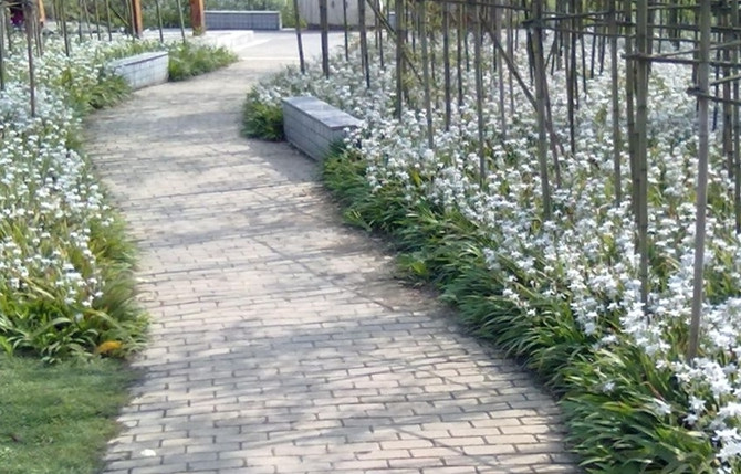 滨州医学院