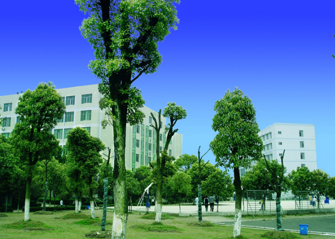 湖南汽车工程职业学院