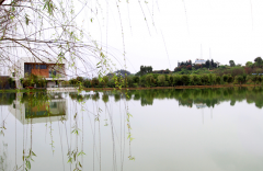 福州大学2019招生录取分数线