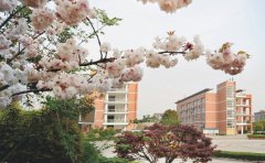 桐乡市卫生学校2020招生办电话及联系方式