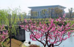 上海震旦职业学院2019有哪些专业及什么专业好