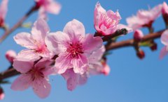 上海震旦职业学院宿舍条件及图片