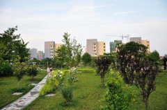 安徽医科大学临床医学院2019年收费标准