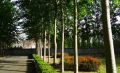 天津市药科中等专业学校2019有哪些专业及什么专业好