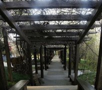 河北师范大学职业技术学院2019招生简章及计划