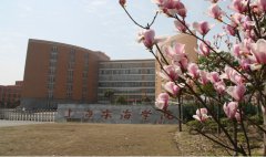 上海东海职业技术学院护理学院地址在哪里