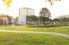 上海济光职业技术学院护理学院地址在哪里