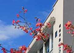 惠州城市职业学院2020招生录取分数线