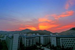 惠州城市职业学院2020招生简章及计划
