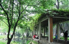 石家庄财经职业学院招生老师QQ及电话