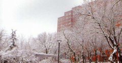 石家庄财经职业学院2019有哪些专业及什么专业好