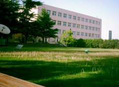 青岛职业技术学院教育学院2020有哪些专业及什么专业好
