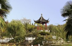 枣庄科技职业学院2020年山东幼师排名解读