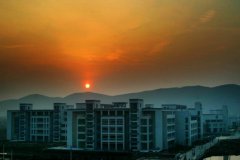 阳江职业技术学院2020招生录取分数线