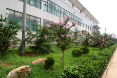 山东力明科技职业学院2020招生录取分数线